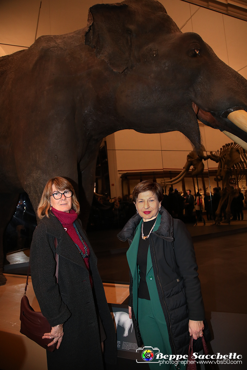 VBS_1277 - Riapre il Museo di Scienze Naturali dopo dieci anni di chiusura.jpg